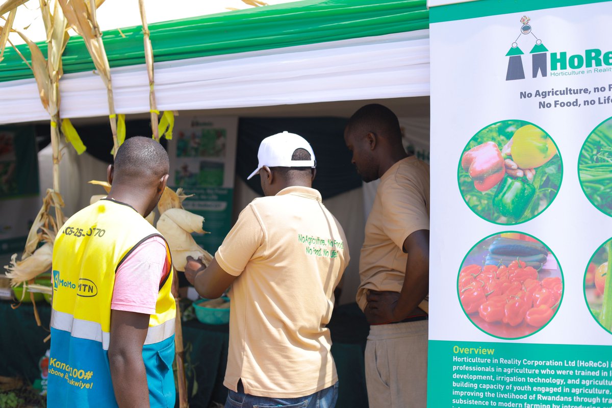 HoReCo_Rw's tweet photo. Today at our #RwandaAgriShow2026 stand, we had the pleasure of welcoming a group of farmers from @SNVRwanda under the YEA-R Program from @RubavuDistrict. They explored how @HoReCo_Rw is advancing Rwanda's agricultural transformation through innovative solutions in irrigation, horticulture, agricultural mechanisation, post-harvest technologies, seed production, and youth empowerment through #OMIS, #KWIHAZA, #PSPP, and #TEACAB.