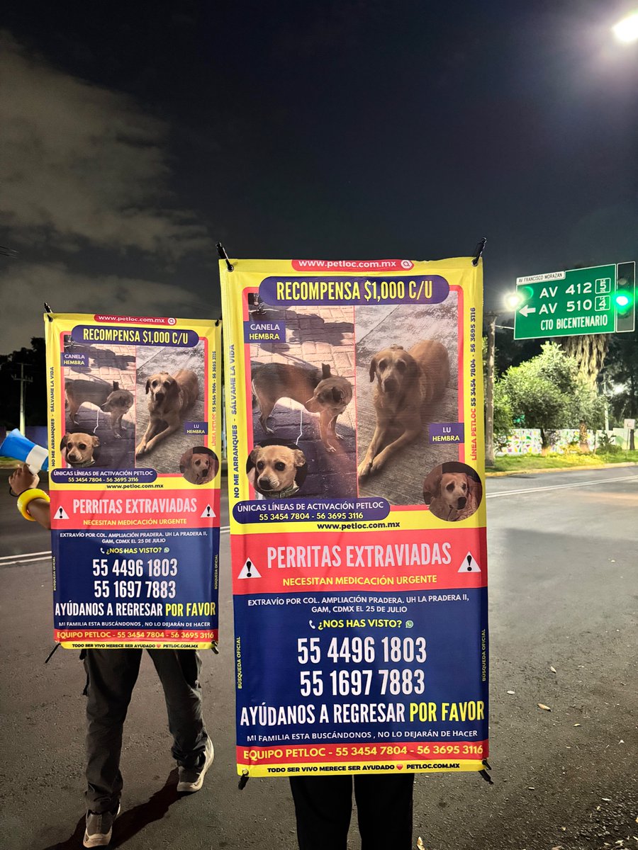PetlocMX's tweet photo. 🚨🐶¡Canela y Lu siguen siendo buscadas!🆘📢 
📍Col. Ampliación Pradera, UH La Pradera II, Gustavo A. Madero, CDMX. 
Se ofrece una recompensa de $1,000 por cada una💰
 ⚠️ ¿Las has visto? Tu reporte puede hacer la diferencia. 📞 55 4496 1803 

#Canela #Lu #PerritasExtraviadas #GAM https://t.co/0TjYue0Tew