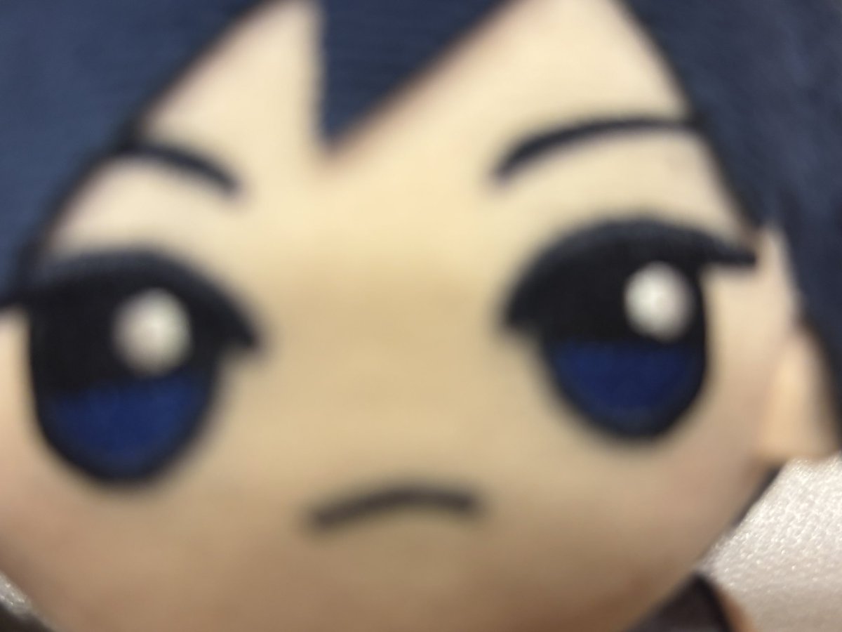 __208tg's tweet photo. かおのいいおしをみていやされよう https://t.co/6HFqwlSl4H