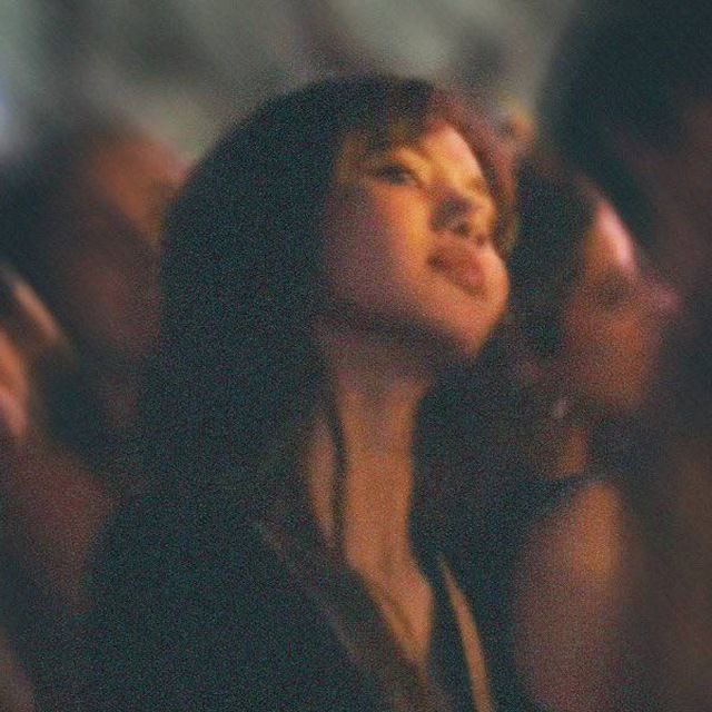 lisa collection tweet media