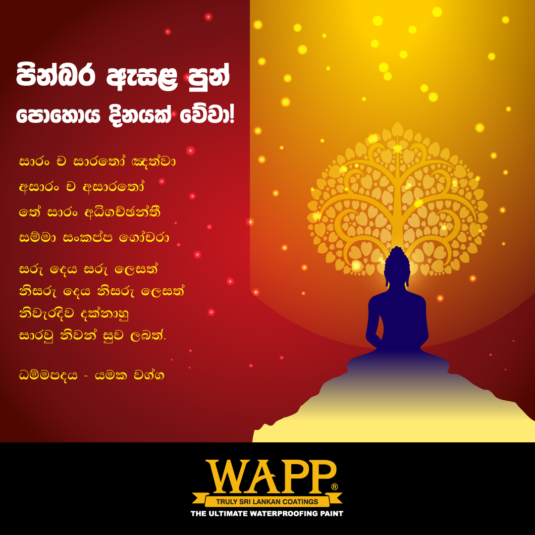 WappPaint's tweet photo. පින්බර ඇසළ පොහෝ දිනයක් වේවා 🌕
#poyaday #wapp #waterproofing #weatherproofing #multicolor https://t.co/GT9iwHBKqV
