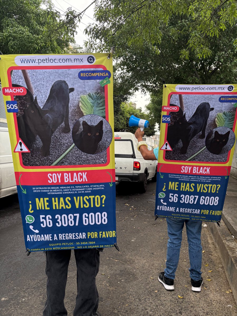 PetlocMX's tweet photo. 🚨🐱 ¡Black sigue siendo buscado! 🆘📢
📍 Miguel Hidalgo 22, Tepalcates, Iztapalapa, Ciudad de México.
💰 Se ofrece una recompensa.

⚠️ ¿Lo has visto? Tu reporte puede hacer la diferencia.
📞 56 3087 6008
#Black #GatoExtraviado #Iztapalapa #PetLoc https://t.co/EP8PEm6vHa