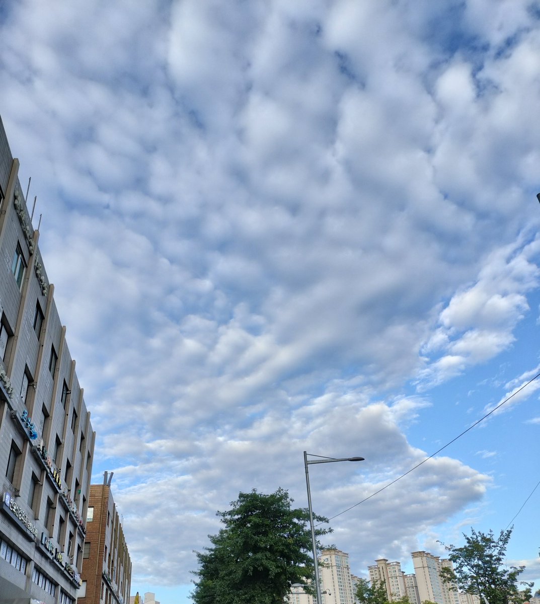 korekoreking1's tweet photo. ずっとカメラロ―ル
整理してるけど
空の写真ばかりw

雲みたら時期が
だいたいわかるし
機内なら どのくらいの
高さかわかるし
どの辺に座ってるか
わかるからオンタイムだと
なんとなく特定⚠

高積雲は、情緒溢れる
くも～～～♡ https://t.co/tGObshXmcJ