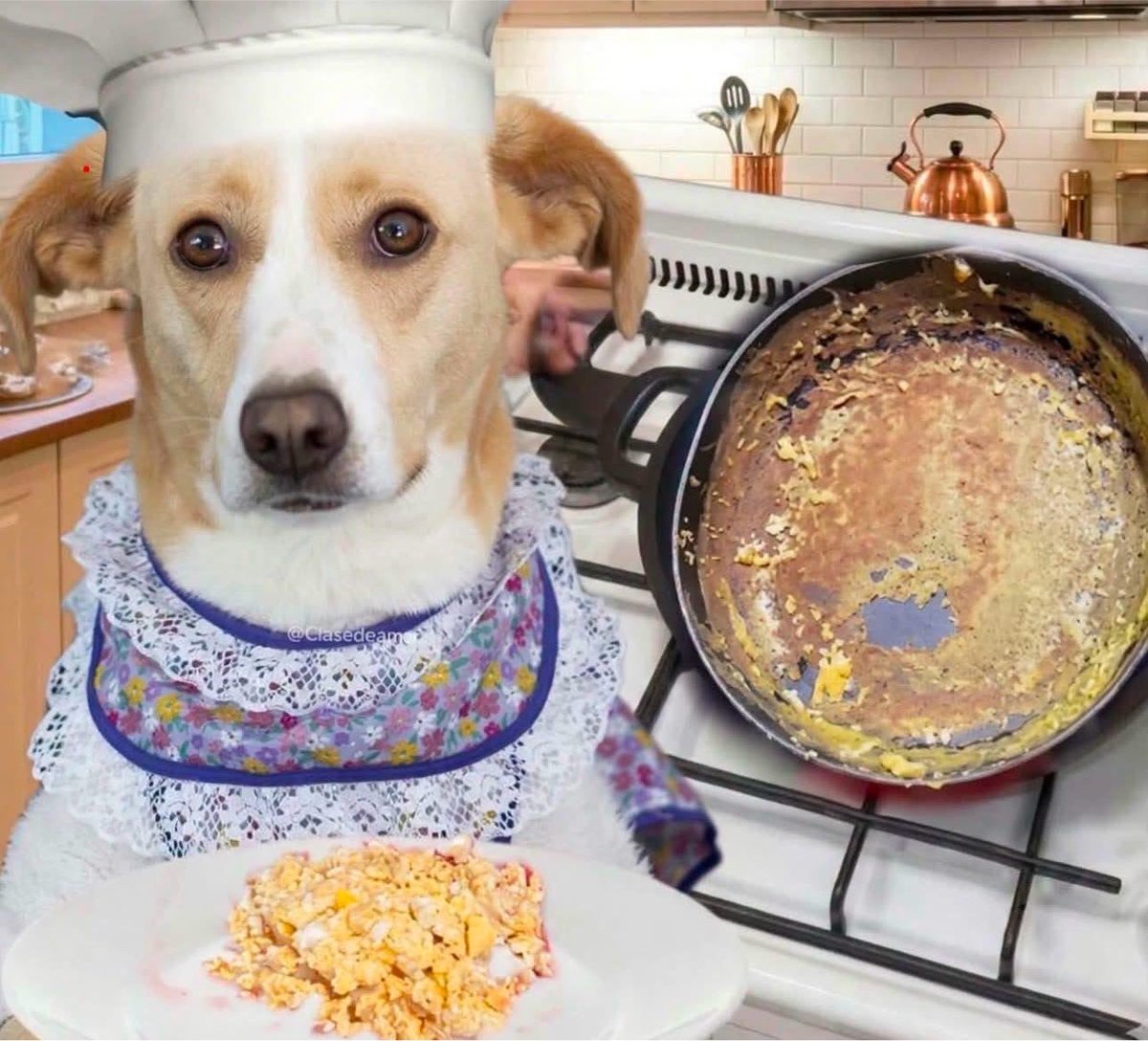 ElPanditaRojo_'s tweet photo. Hice 5 huevos, 2 para mí y 3 para el sartén https://t.co/9G95FN9UJf