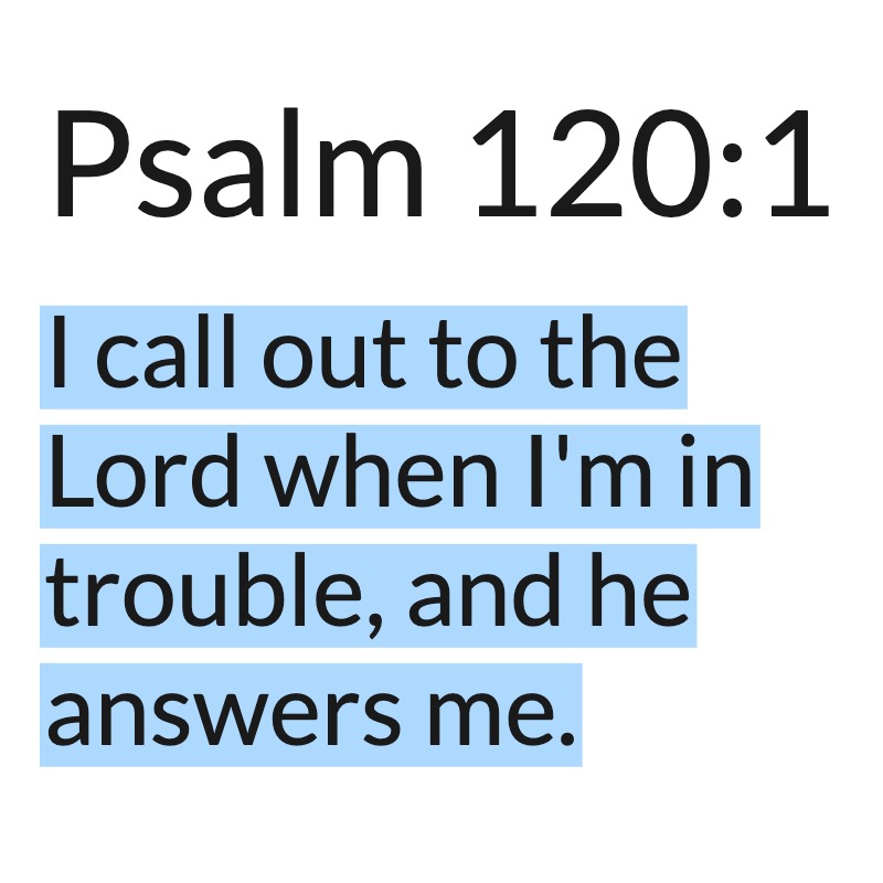 Jesus Insight tweet media