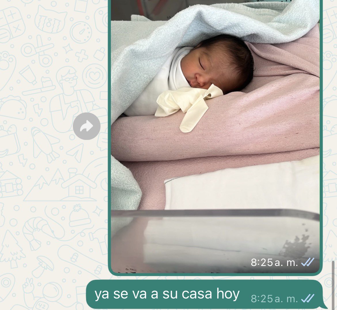 vancondoblet's tweet photo. adiós abi, tqm 😿 https://t.co/9l1yiT42wH