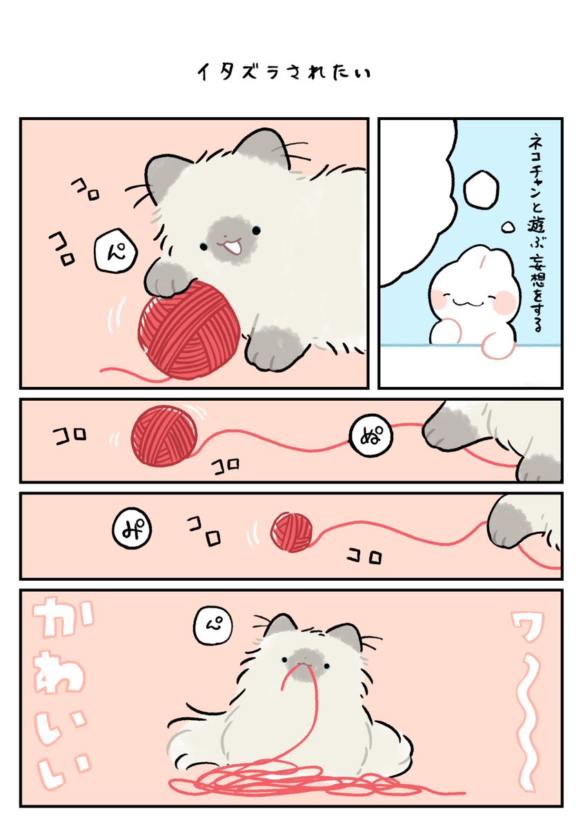 nasuka_gee's tweet photo. くちゃくちゃ

#深夜のネコチャン
#漫画が読めるハッシュタグ https://t.co/T2gJRQ9Ya9