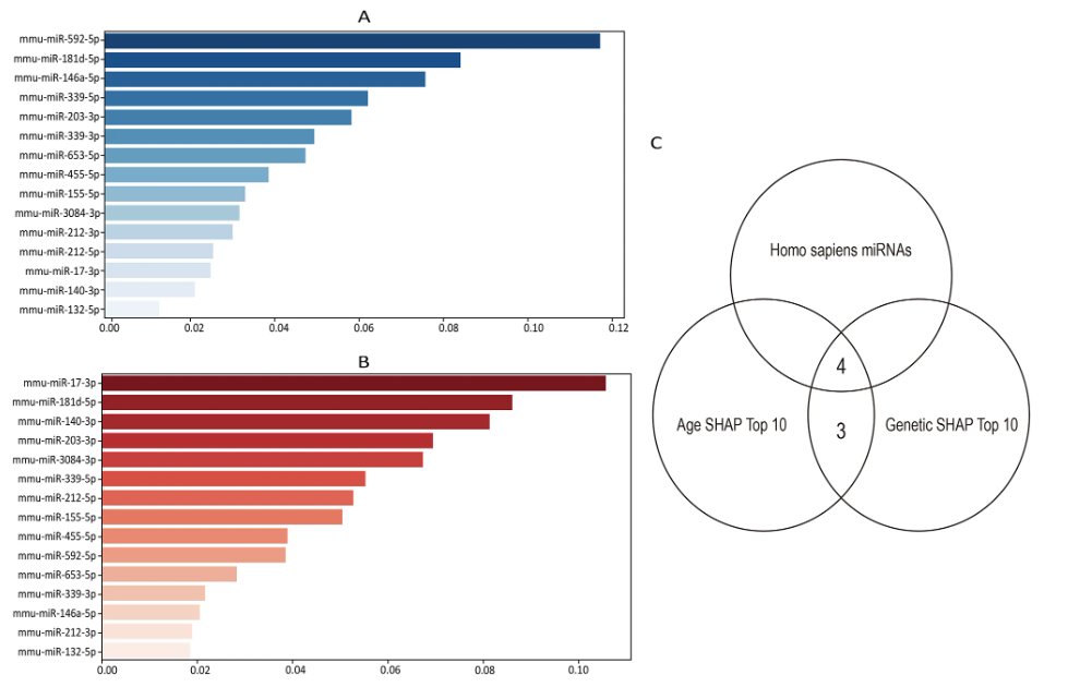 OACellBiology's tweet photo. Check out Biology Direct's featured article:
Discovering non-linear dynamics of #miRNAs in #Alzheimer's disease-related #cognitive impairment: a cross-species approach with explainable
➡️https://t.co/2wQ5MMTfy4
#MachineLearning https://t.co/wYNlZw9M75