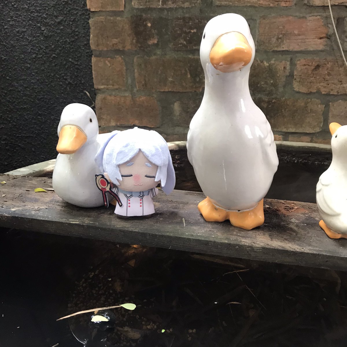 pyxis_496's tweet photo. #frieren :D https://t.co/eiF4VpoHkM