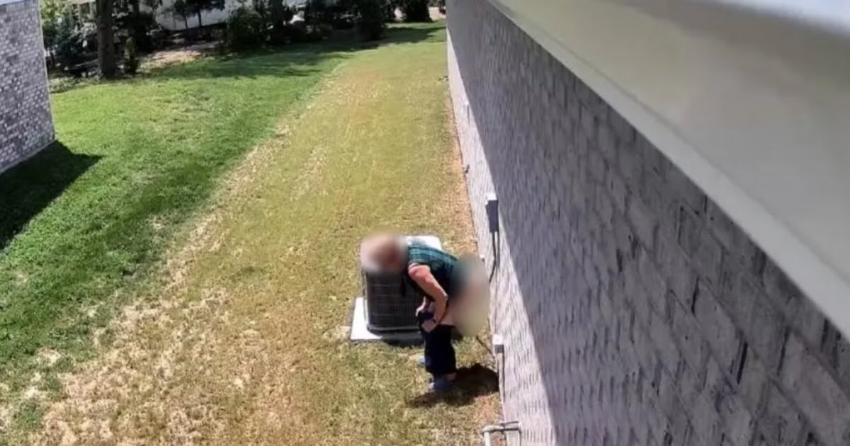 KarenFootage's tweet photo. An Indiana HOA board member was caught on camera repeatedly defecating on her neighbour's lawn after the homeowner installed surveillance cameras to catch whoever was leaving human waste beside his house. 

When confronted with the footage, she initially denied it before eventually being charged with criminal trespass, criminal mischief, and public nudity. 

After the incident became public, she stepped down from the HOA board, and no motive was ever publicly revealed.