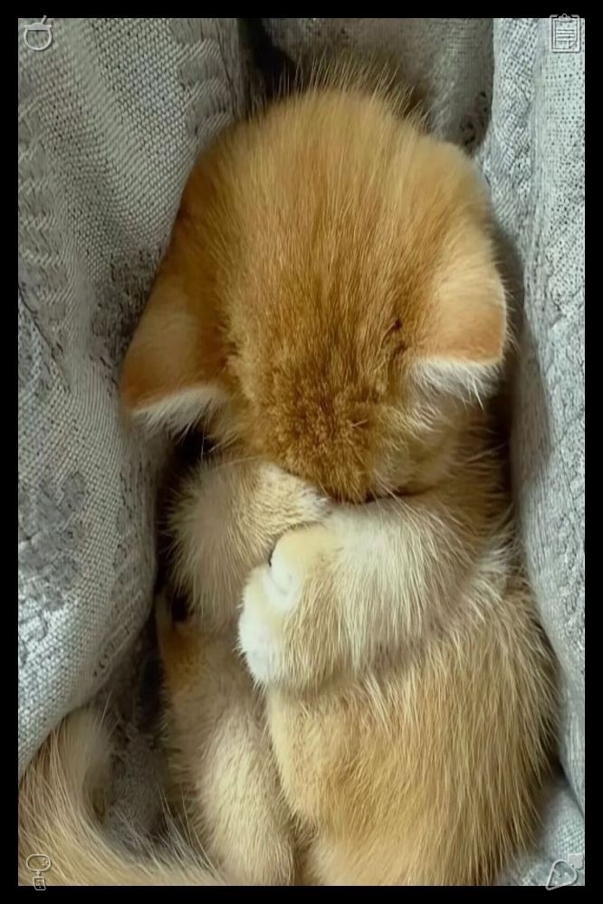 Jinnymark93's tweet photo. Conclude each day with a tranquil mind. Acquire one straightforward and practical piece of knowledge weekly, jot down concise notes during your studies, and promptly integrate it into your everyday habits. Steady, incremental learning broadens your capacity to seize significant https://t.co/v3kTD9EpKh