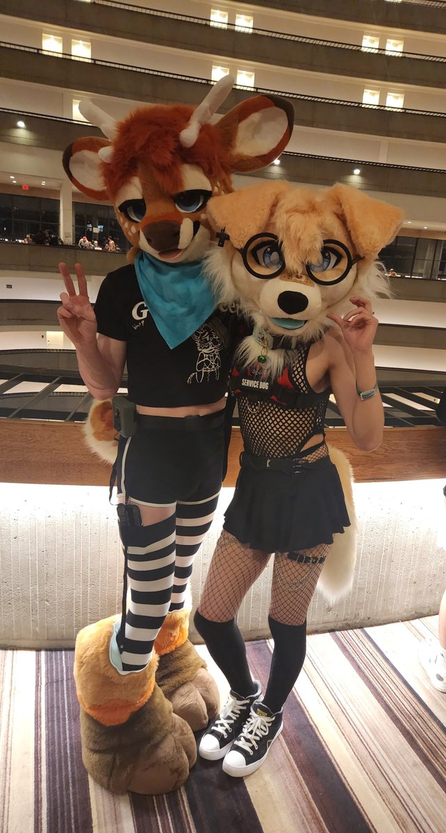 ✨𝕂 𝕆 𝕂 𝔸 𝕄 𝕀 🍊✨🔜 AC / MP(?) tweet media