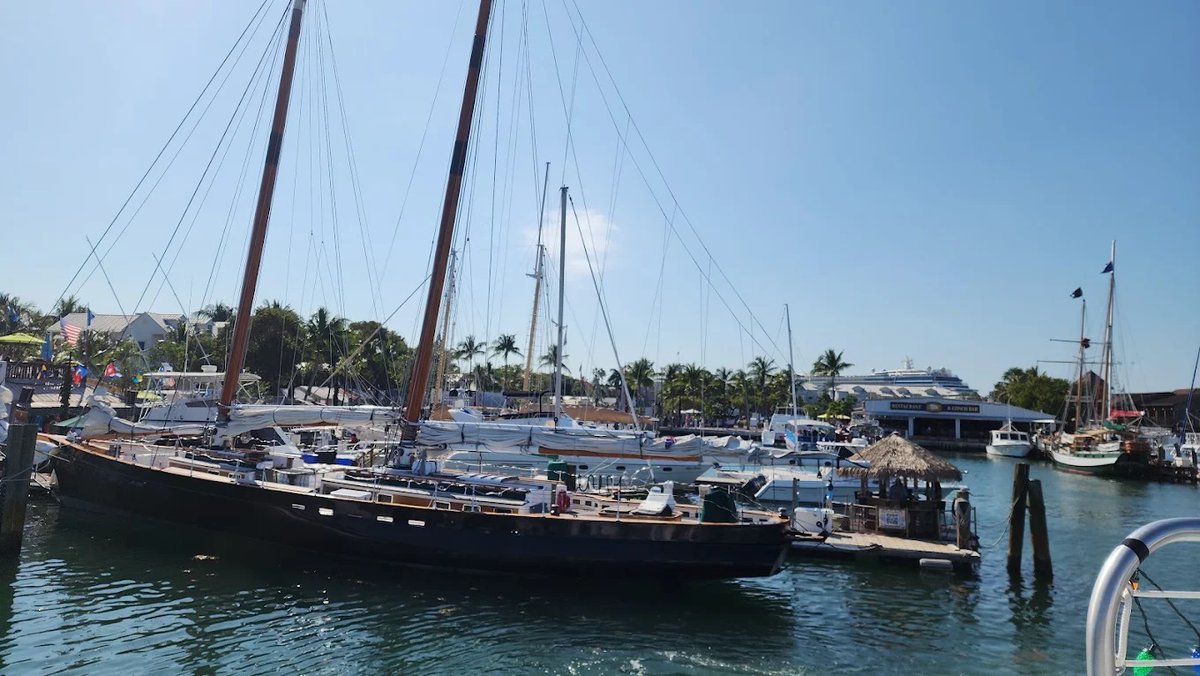 HistoricSeaport's tweet photo. From tall ships to fresh seafood, the Harbor Walk is calling. 

🌊 Catch a charter or grab a cocktail! The best of Key West starts right here at the Historic Seaport.

#KeyWest #HistoricSeaport #keywestlife #keywestliving #keywestsailing #keywestboating #keywestdining https://t.co/N89QVROMyf