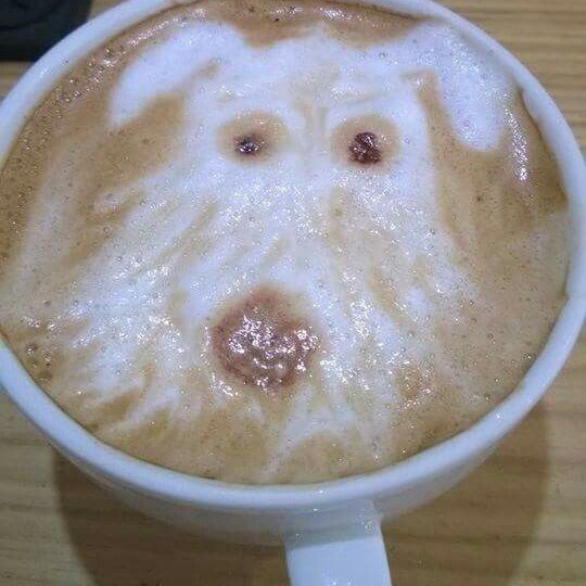 Rumplepimple1's tweet photo. #WhyIWorkBestAtNight special coffee https://t.co/daF5SLn615