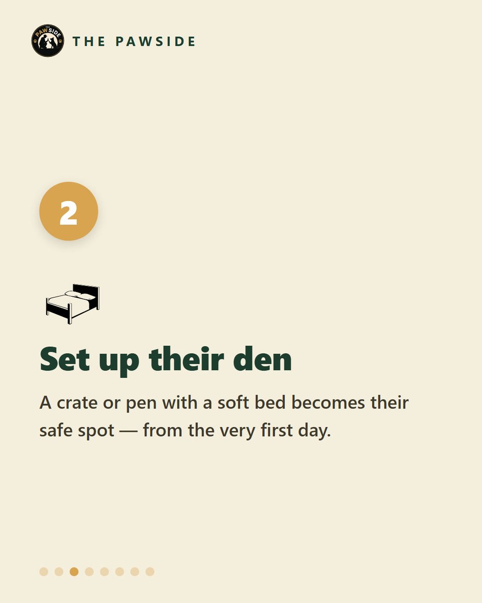thepawside's tweet photo. 🐶✅ NEW PUPPY? Your first-week checklist — 7 must-dos. (Full set on our IG @thepawside_)

📘 https://t.co/t8eEVMEtgX
#newpuppy #puppytraining https://t.co/1RBYLpVPoh