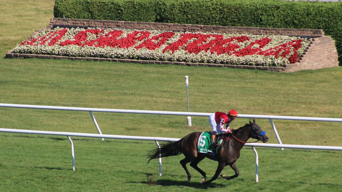 America’s Pastime Stables tweet media