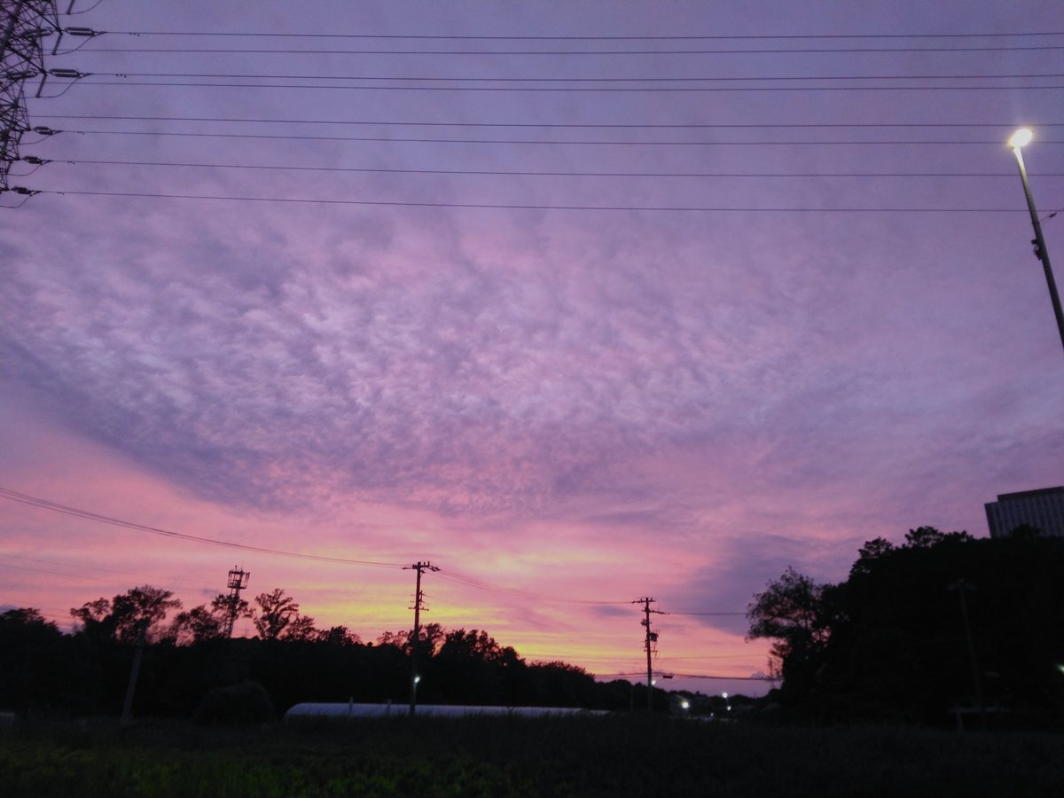 MojiHude's tweet photo. 特大の打ち水のおかげで、少し涼しい。
雷にびっくりして、口から氷がスポンと飛び出て笑えた。 https://t.co/52V6jhP3s2