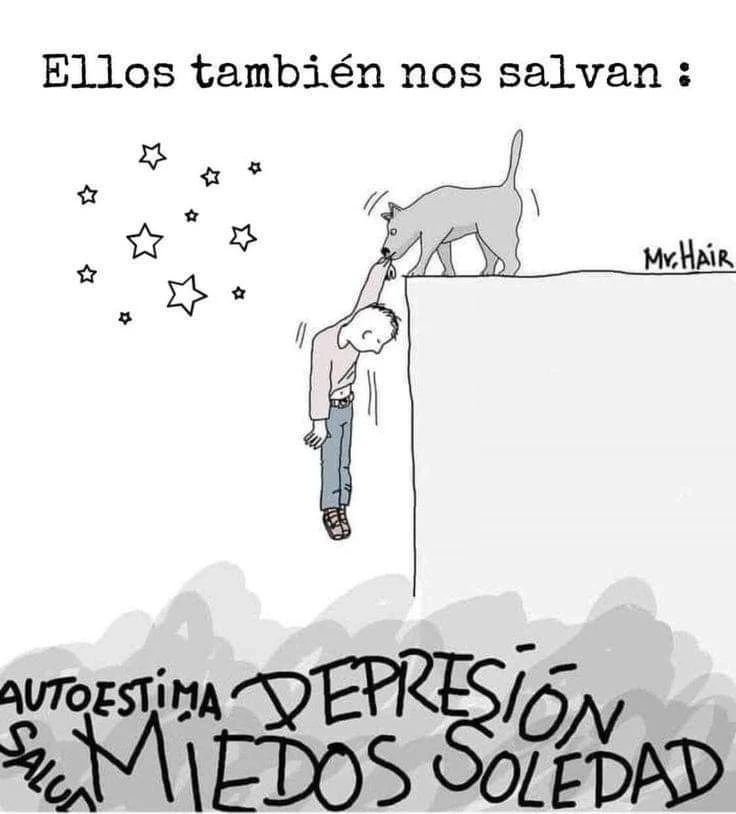rey_latino33087's tweet photo. https://t.co/kzQM0zvhMb