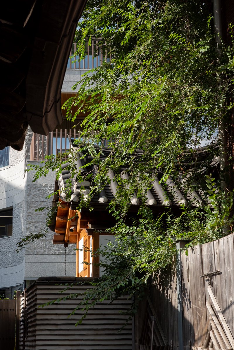 miIkmatcha's tweet photo. i like when sunlight hits leaves just so https://t.co/ByZ9jZXn80