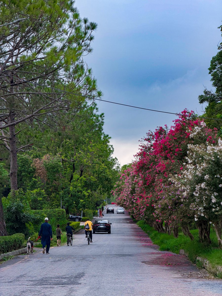 Indusland_'s tweet photo. Islamabad streets https://t.co/NNo2YRFxxz