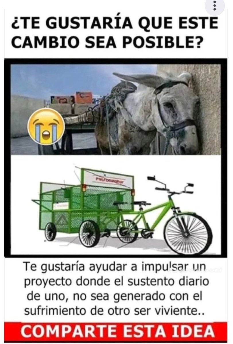 GloriaP61665511's tweet photo. @momentoviral Que usen ésto. Ya BASTA  de maltratar a los burros y caballos. NOOO MÁS https://t.co/KTa1KwiVlK