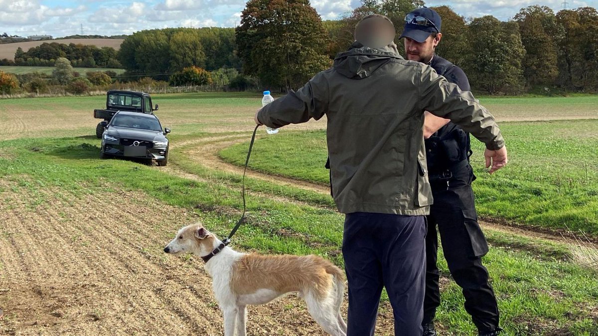 FarmersWeekly's tweet photo. Westward spread of hare coursing alarms CLA - Farmers Weekly https://t.co/6RkEWnjlux https://t.co/dZRU61HlSV