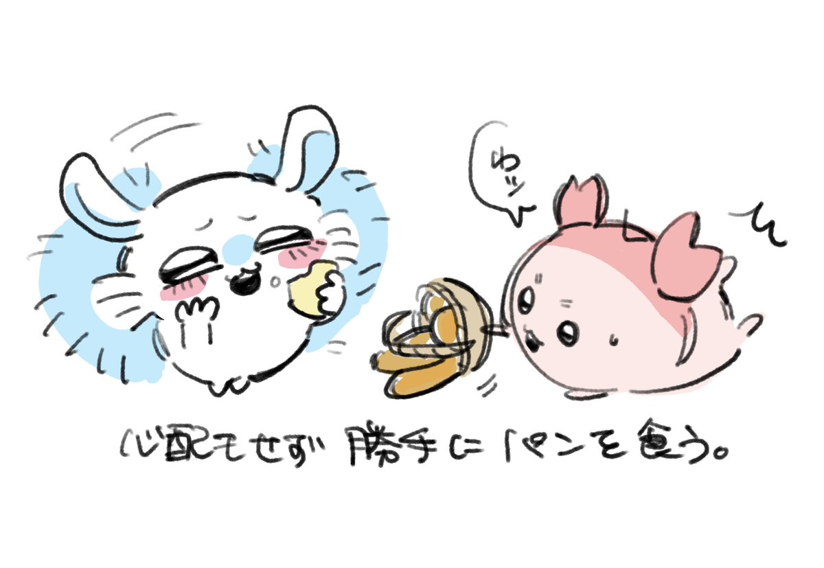 bonno__02's tweet photo. #ちいかわ #ちいかわファンアート
二人が好き https://t.co/dNEGYg2VXG
