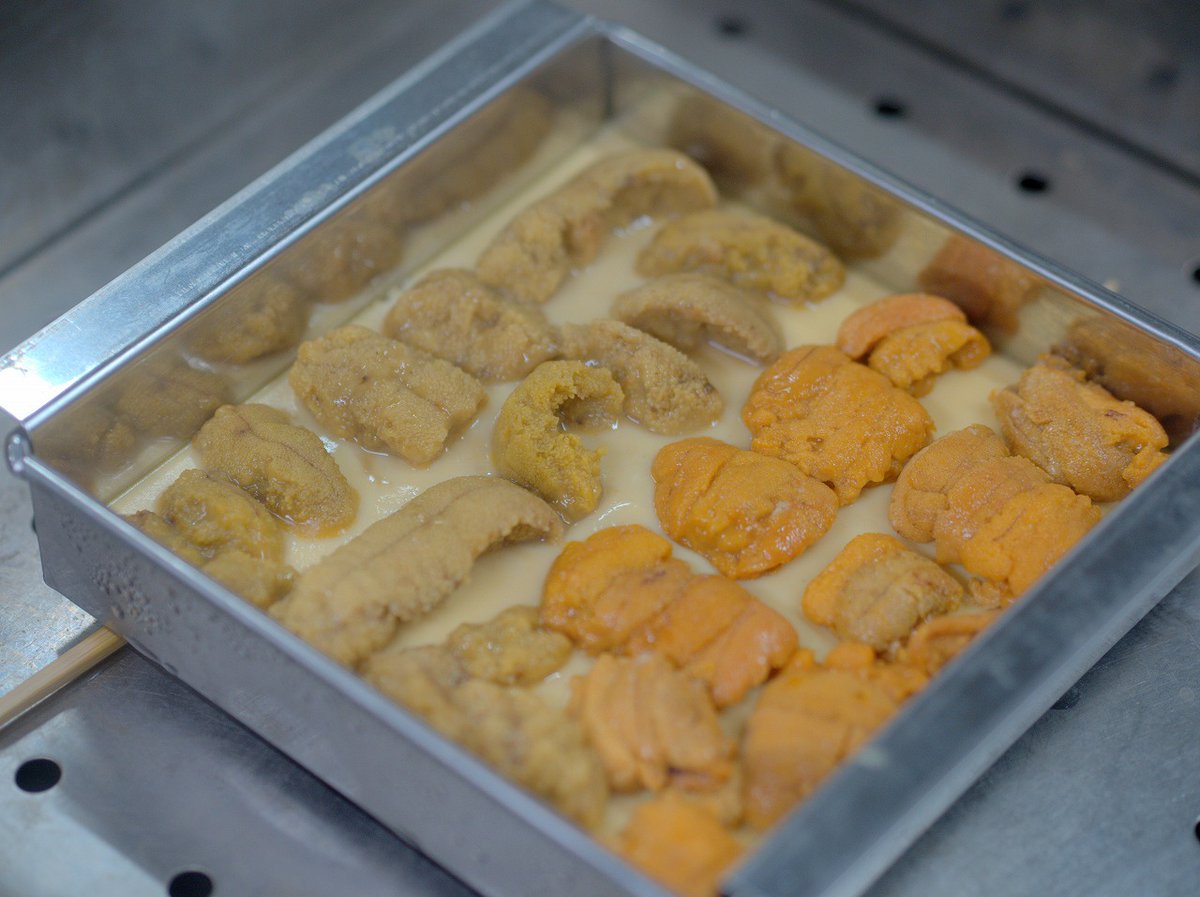 sushinanba's tweet photo. 雲丹を沢山入れた玉子豆腐（雲丹豆富）を作りました(#^.^#)
勿論、上にも雲丹を乗せて♪
痛風＆痛風予備軍の方には危ない先付けですね。 https://t.co/CYYX46LdCx