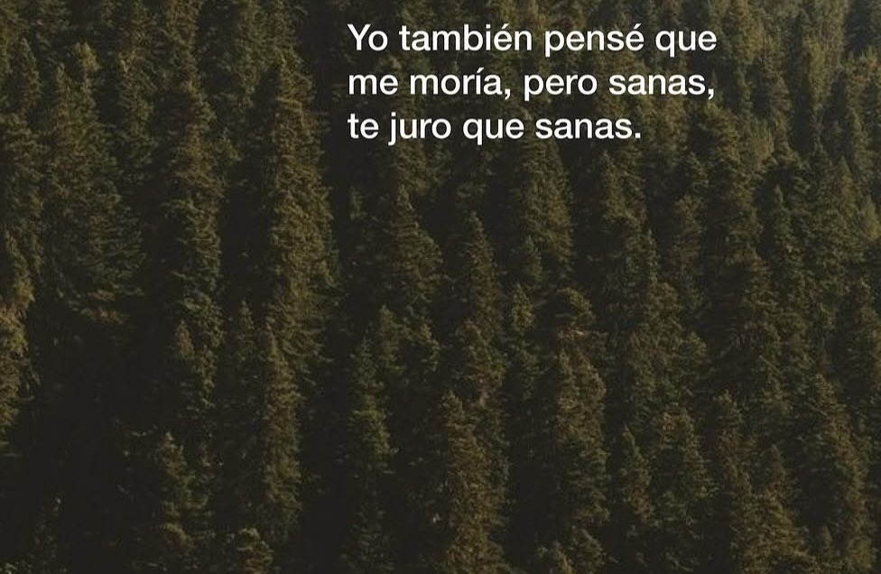 _Biancinha's tweet photo. Y te vuelves a reconstruir❤️‍🩹✨ https://t.co/wC2OiJW85Y