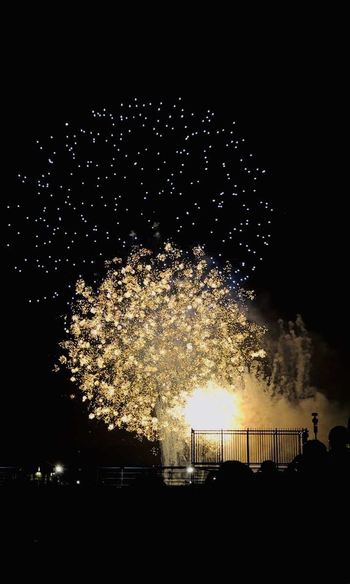 Hirin_HLW's tweet photo. 葛飾納涼花火大会🎆 https://t.co/bqXvEkeqsa