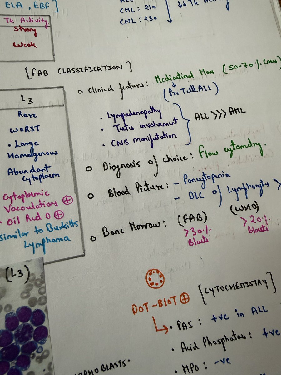 paper_down_'s tweet photo. My 2nd year patho notes are supreme 🍀 https://t.co/YImZ4oX81Q