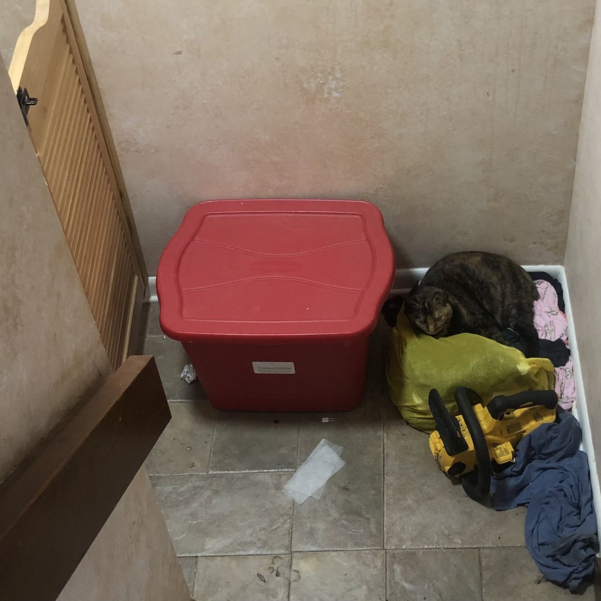 ChaiGerdes's tweet photo. I’m not allowed in the basement, so I just snuggle up in the clothes my humans toss down the stairs when I’m sick of their shit. https://t.co/YxrLCuiIXm