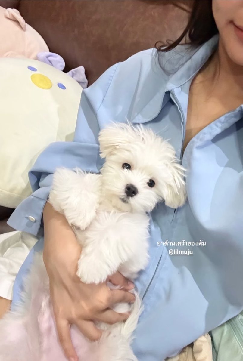 1tamjai's tweet photo. เอม��่บอนนี่กับเด้ก ๆ 🥺🥺🥺 https://t.co/DLDBd3kmcs