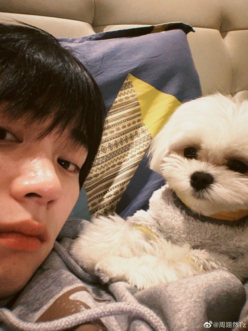himanduu's tweet photo. 강아지 파티.. https://t.co/RzzcFg9qkB