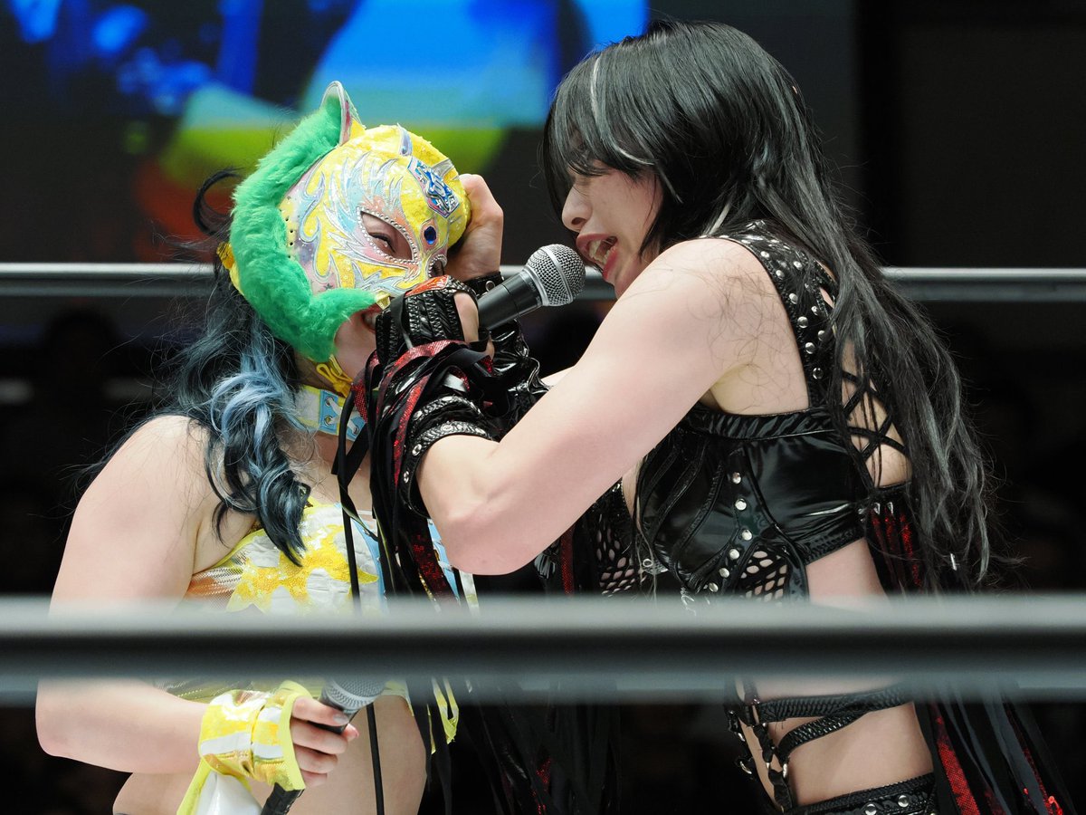 saya_h_a_t_e's tweet photo. 行儀の悪い猫は嫌いだ！
イチからしつけてやる🤪👎🏻
#STARDOM https://t.co/sXPlTUtuBI