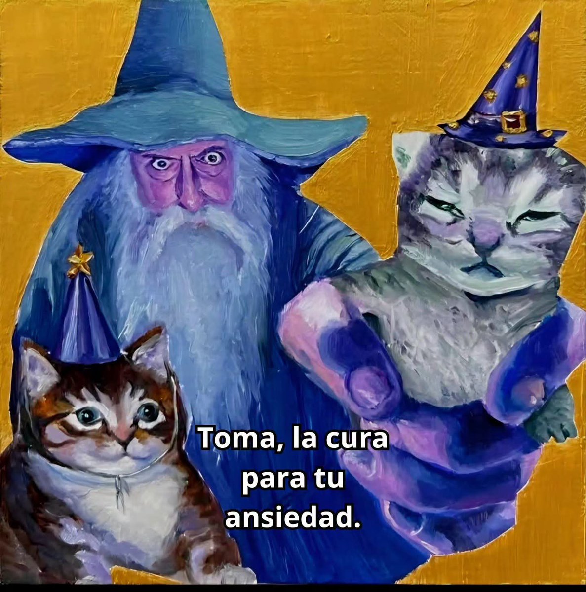 angelo_uf's tweet photo. Ten, todo tuyo! 🐈 https://t.co/97ewLEqfuZ