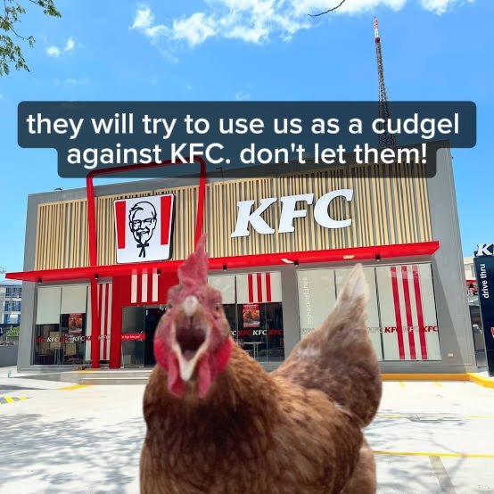 ShackleTunes's tweet photo. Kek https://t.co/VgoyCDr6Ca