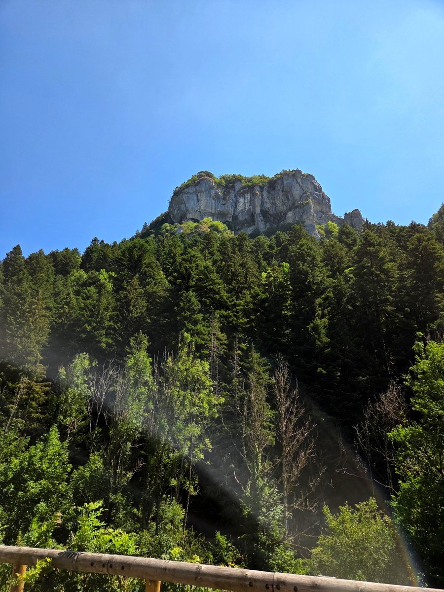 oddotShin's tweet photo. Mimi Chulita sightseeing in the french Alps ⛰️
(took the last 3 while driving, bro might have take his first flight) https://t.co/zv7OhsTs17