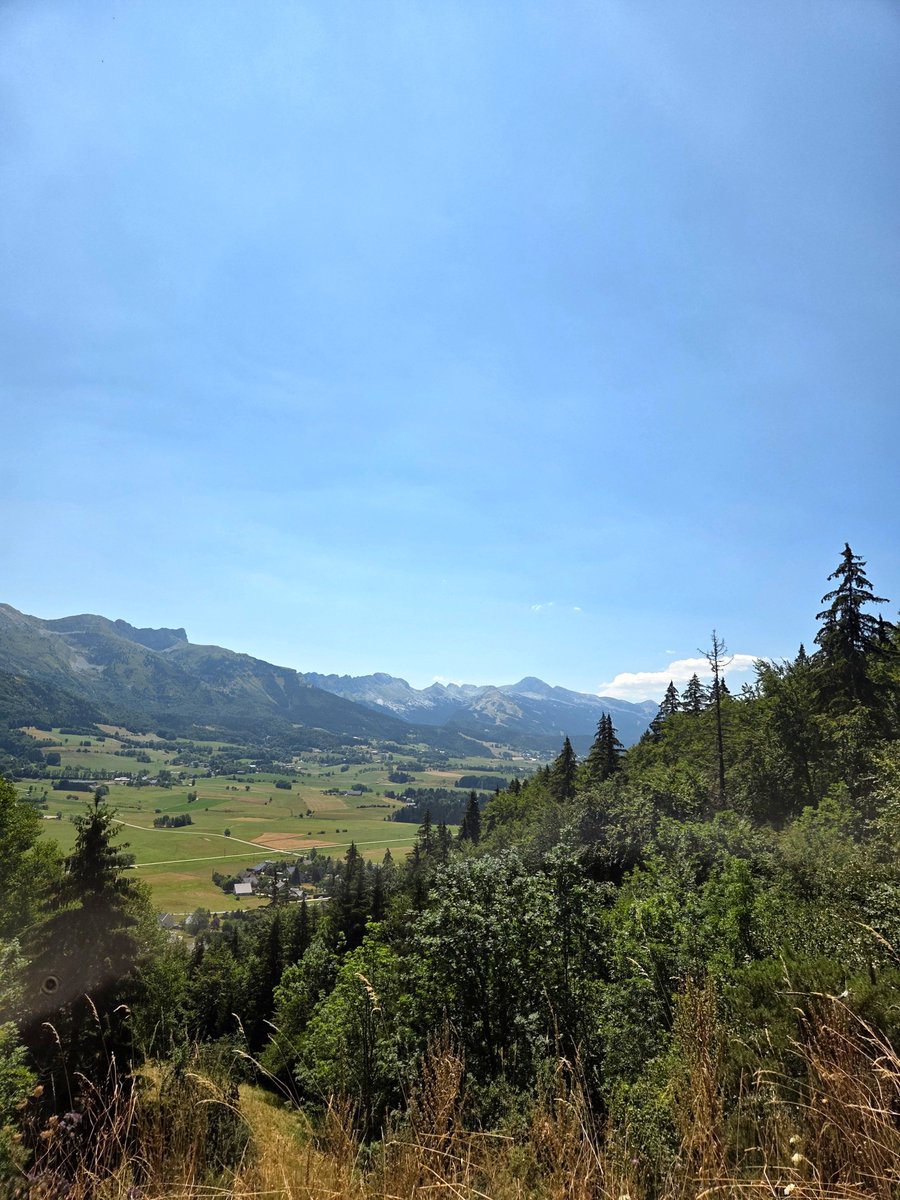 oddotShin's tweet photo. Mimi Chulita sightseeing in the french Alps ⛰️
(took the last 3 while driving, bro might have take his first flight) https://t.co/zv7OhsTs17