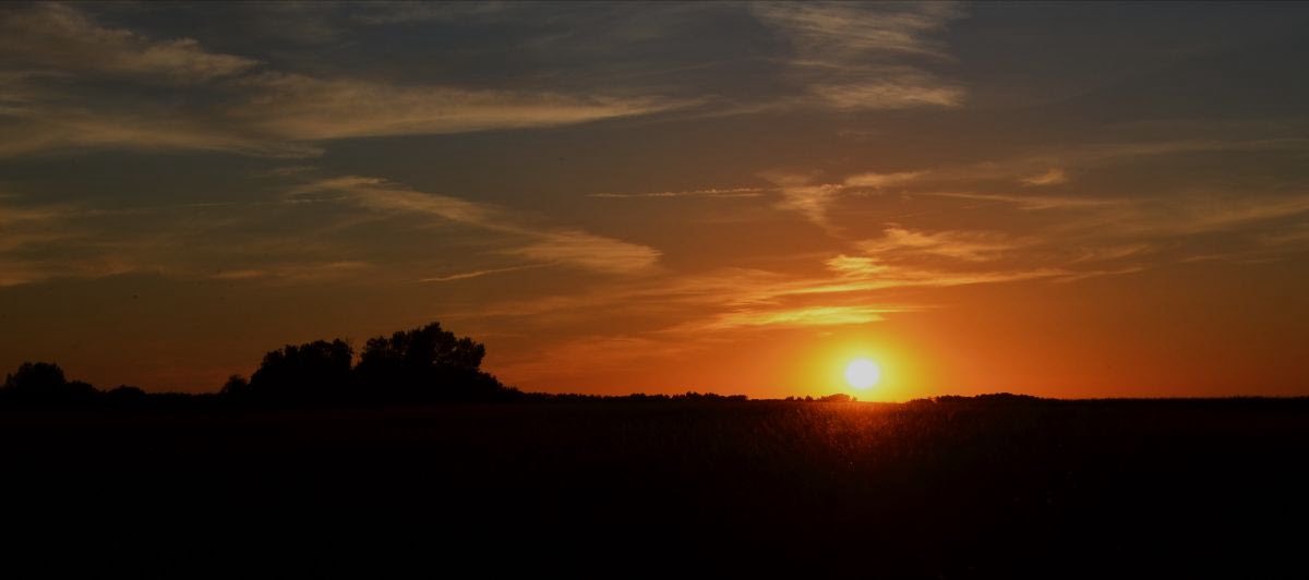 RandTeed's tweet photo. “There was no addition or subtraction in life that did not require some time for adjustment.”
Laura Imai Messina https://t.co/vwJ2Tw4N7P