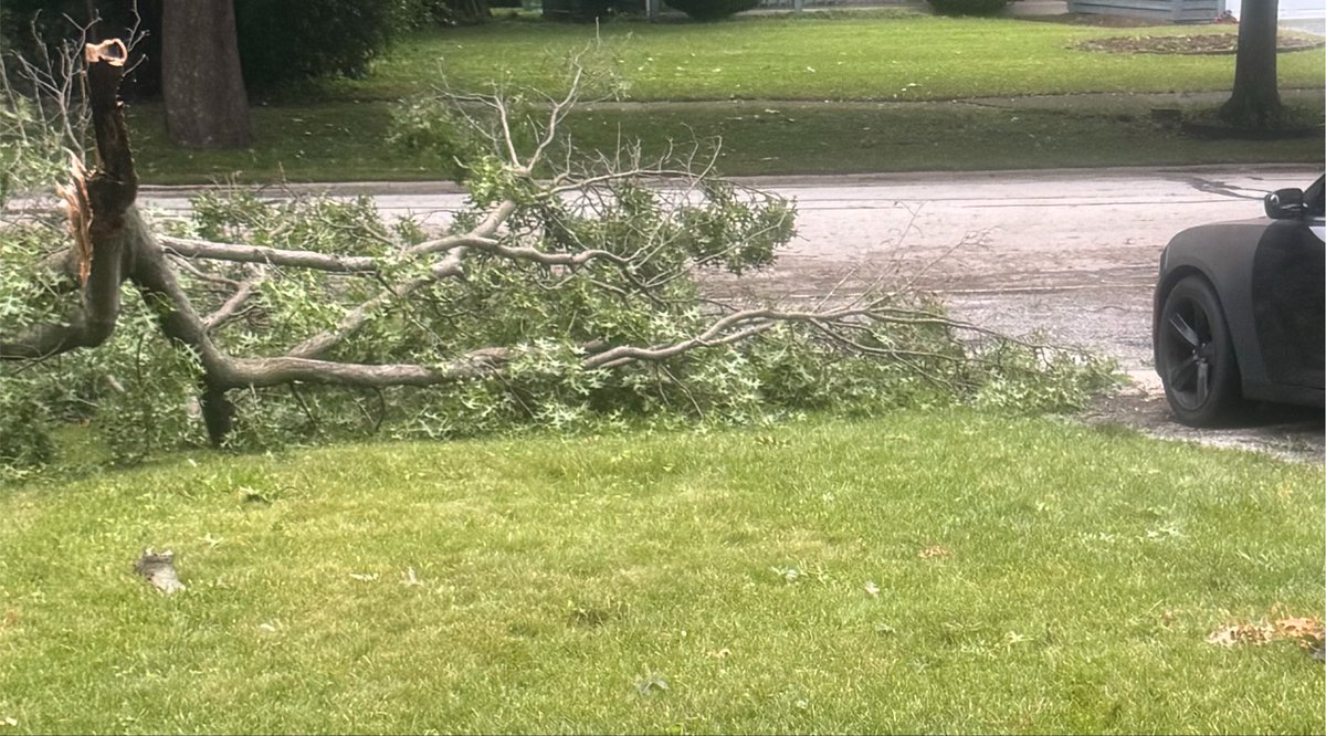 Yellow_Jacket_'s tweet photo. Saw this bitch fall in real time while I was about to leave earlier, the way it fell I thought my car was done for lmao https://t.co/a0Yjae8tww