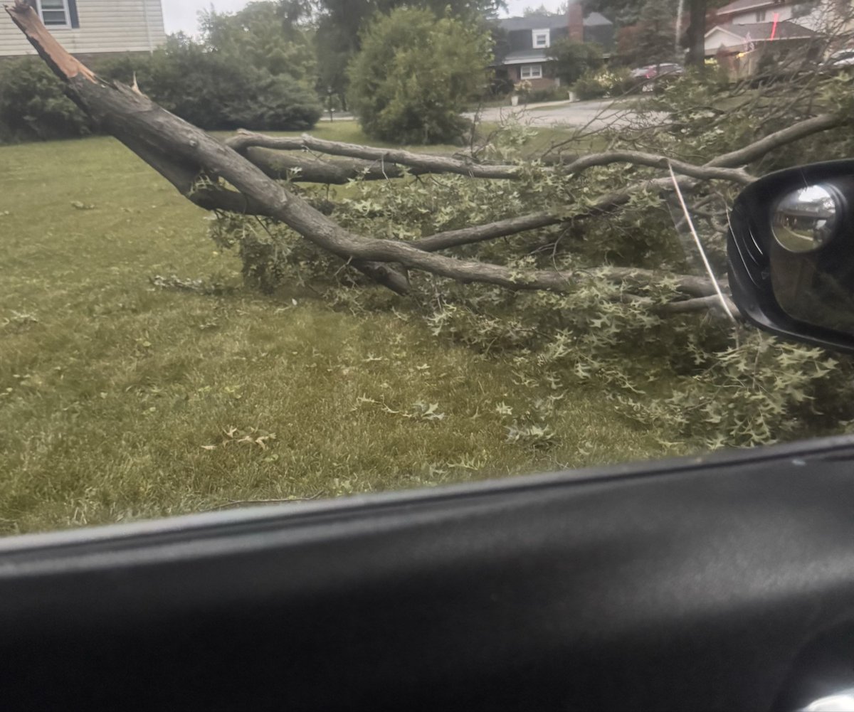 Yellow_Jacket_'s tweet photo. Saw this bitch fall in real time while I was about to leave earlier, the way it fell I thought my car was done for lmao https://t.co/a0Yjae8tww