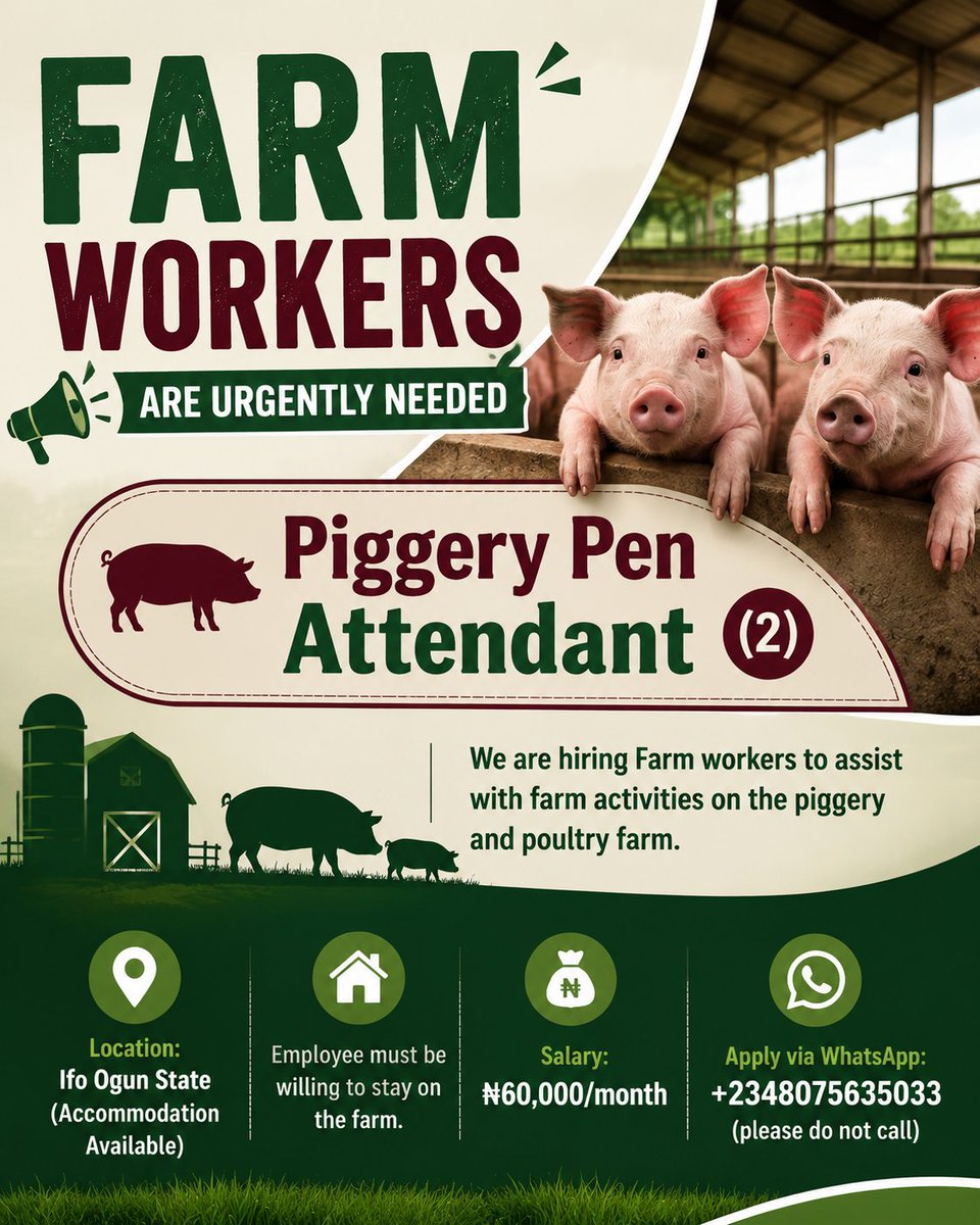 AgrikAce's tweet photo. FARM WORKERS ARE URGENTLY NEEDED

📍 Location: Ifo Ogun State (Accommodation Available)

Piggery PenAttendant(2)
We are hiring Farm workers to assist with farm activities on the piggery and poultry farm. https://t.co/NqeCdYjJvR