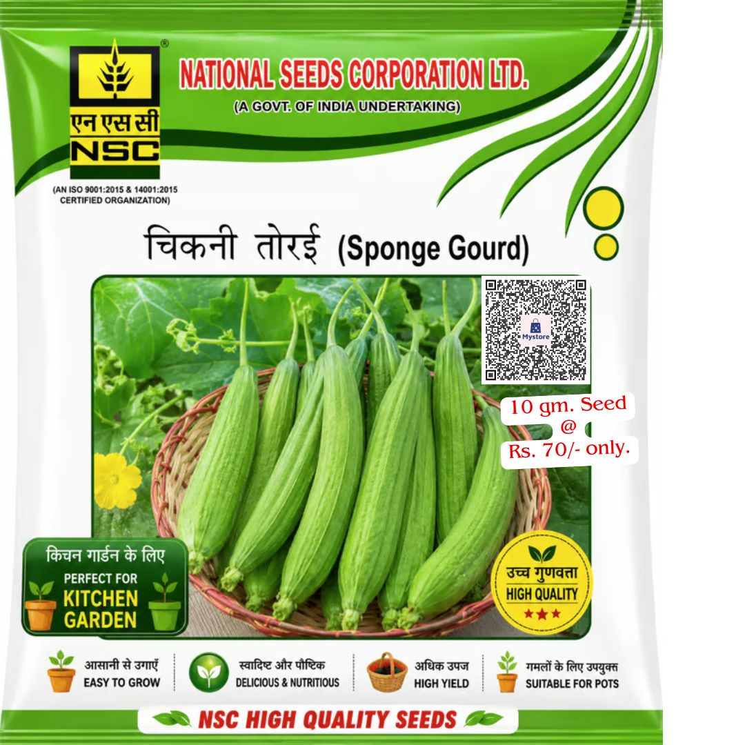 NSCLIMITED's tweet photo. 🌿तोरई 'काशी खुशी' वैरायटी—आसान खेती, अधिक उपज और स्वादिष्ट फलों के लिए बेहतरीन विकल्प!

NSC स्टोर से 10 ग्राम बीज ऑर्डर करें@ https://t.co/BvxkaMlwHx 70/-रू. में|

#NationalSeedsCorpLtd @AgriGoI @ChouhanShivraj @mpbhagirathbjp @mkaurdwivedi @Flipkart @ONDC_Official @DigiHaat_ https://t.co/6fvUtL1Sdv