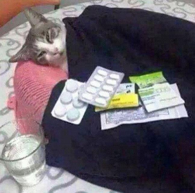 advogaustin's tweet photo. @imtinis Faça 5 anos de direito e vc vai chorar todo dia e sozinha ainda, é pior https://t.co/TX2HgzA93y
