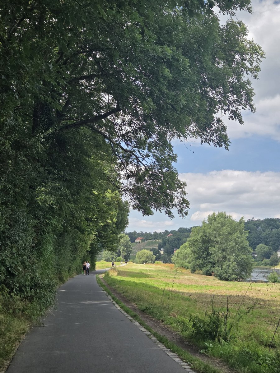 __ladyisla's tweet photo. Ich habe wohl die beste Wanderroute in Dresden gefunden https://t.co/5JS2yUAdaL