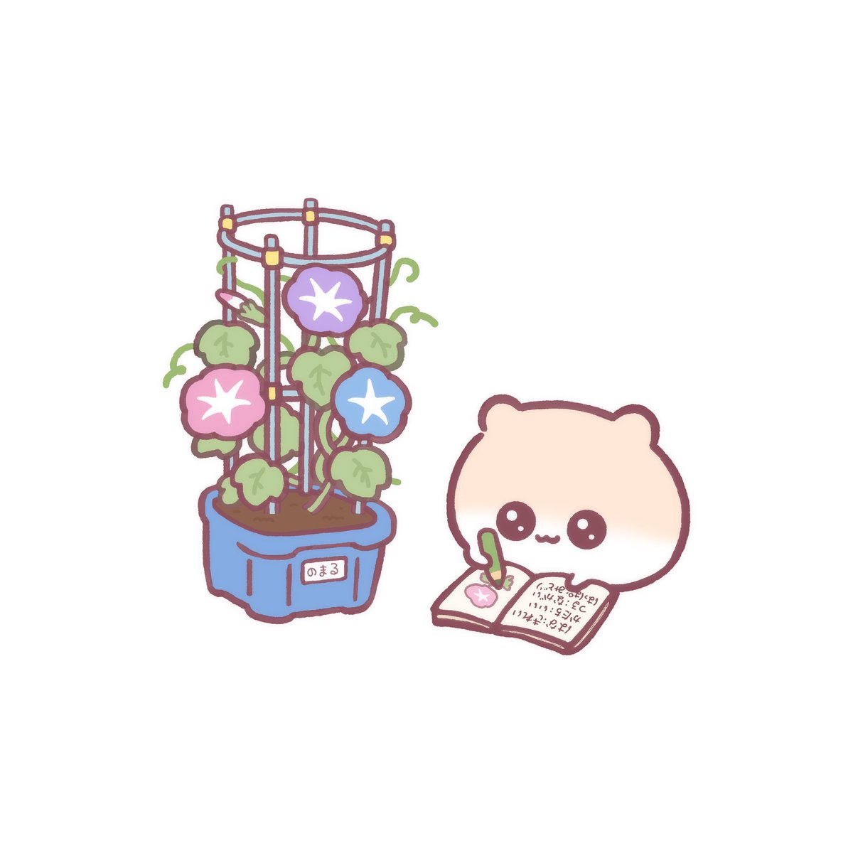 motchiri_hamu's tweet photo. あさがおのかんさつ🐹 https://t.co/tOrjyrd1Zv