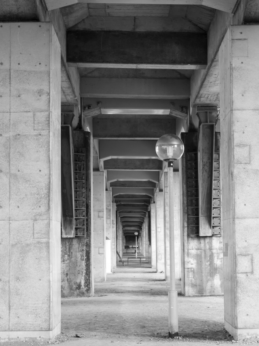 yashi-p tweet media