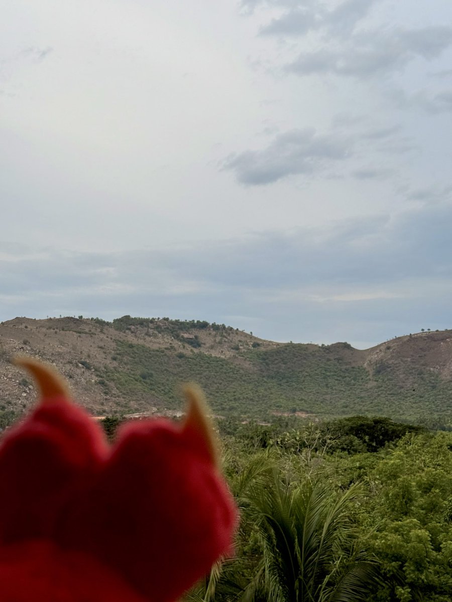 havisaltmode's tweet photo. https://t.co/FwdrzLQh1p
