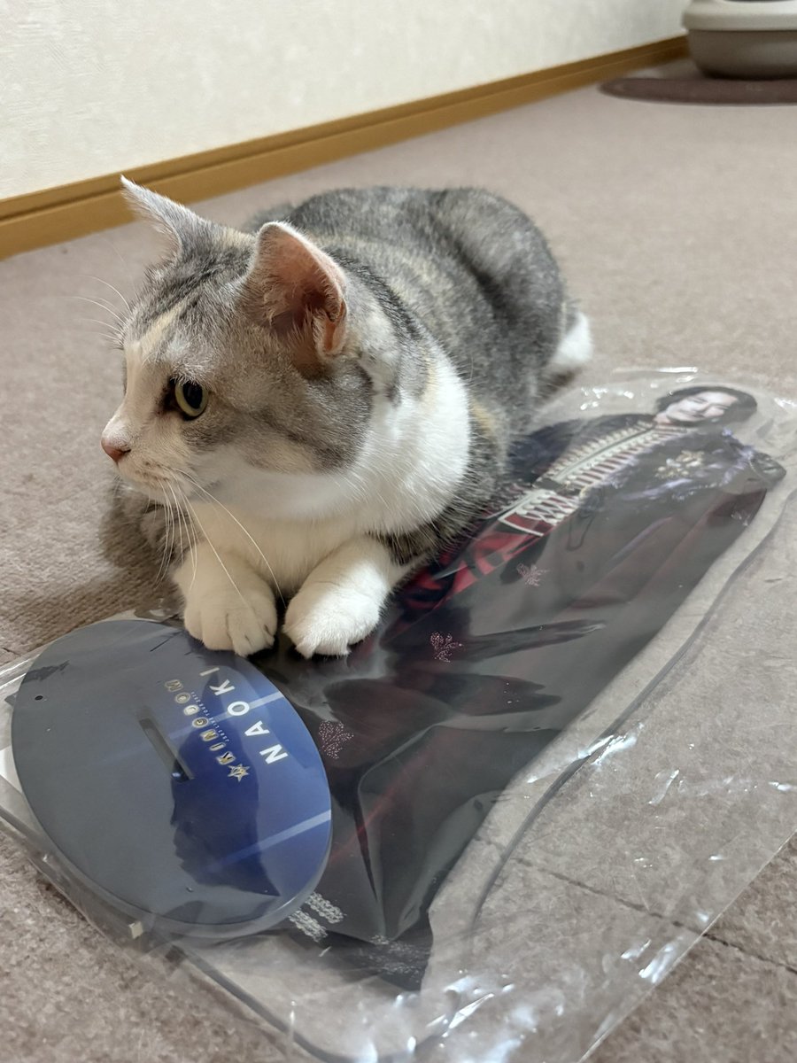 なしろ tweet media